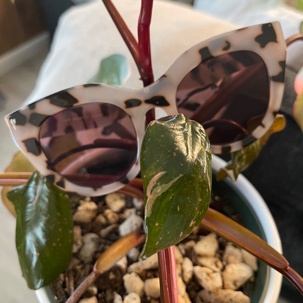 **SOLD** Le Specs Air Heart Sunglasses In Cookie Tort Unisex - Picture 6 of 16